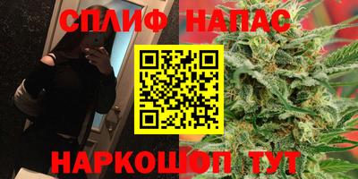 Альфа ПВП Будённовск